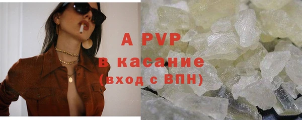ПСИЛОЦИБИНОВЫЕ ГРИБЫ Инта