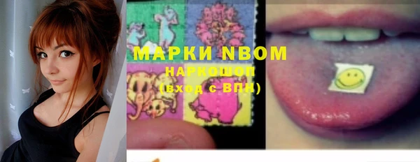 ПСИЛОЦИБИНОВЫЕ ГРИБЫ Инта