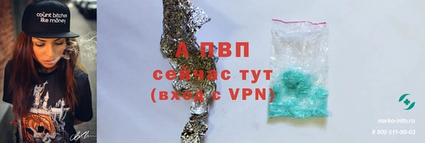 ПСИЛОЦИБИНОВЫЕ ГРИБЫ Инта