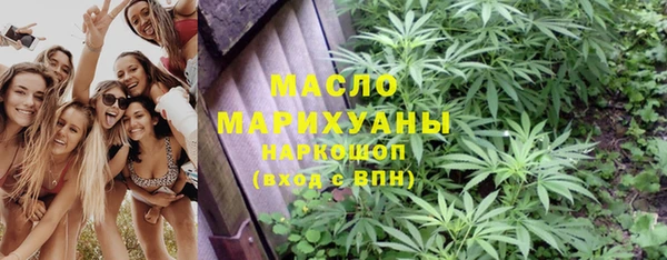 мяу мяу мука Иннополис