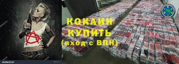 ПСИЛОЦИБИНОВЫЕ ГРИБЫ Инта