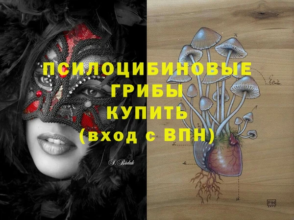 мяу мяу мука Иннополис