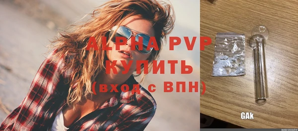 ПСИЛОЦИБИНОВЫЕ ГРИБЫ Инта