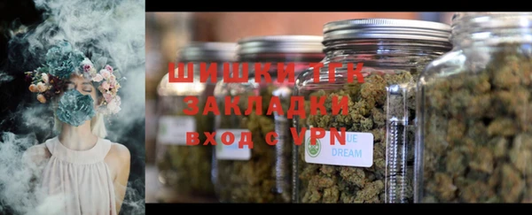 ПСИЛОЦИБИНОВЫЕ ГРИБЫ Инта