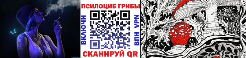 Купить  Белоярский  Псилоцибиновые грибы Cubensis 